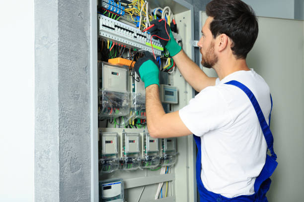 Best Residential Electrician Services  in East Lake, FL